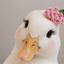 Profile picture of ‌ρꫝ  اَقدَسدوسی‌