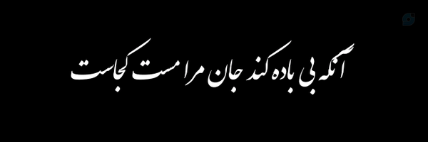 ‌Negar Zarei‌'s header picture