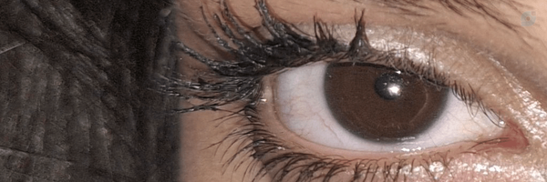 ‌Dina☆‌'s header picture