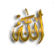 Profile picture of ‌شِوی Shevy‌