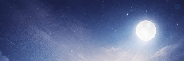 ‌نگین بهرامی‌'s header picture
