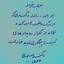 Profile picture of ‌نافذ Naader Noor‌