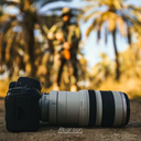Profile picture of ‌«بَچه زِرَنگ»‌