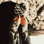 Profile picture of ‌𝔹𝕒𝕙𝕒𝕣‌
