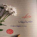 Profile picture of ‌توفیق علیپور‌