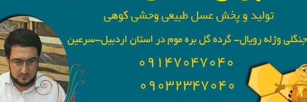 ‌حسینعلی امیری‌'s header picture