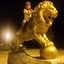 Profile picture of ‌گل سرخ‌