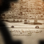 Profile picture of ‌🌱M.S.Z🇮🇷‌