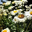 Profile picture of ‌مهدی رستمی‌