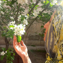 Profile picture of ‌Zz. Ghasemi‌