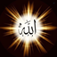 Profile picture of ‌وحید نعمتی یارعزیز‌