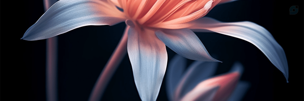 ‌آرام‌'s header picture