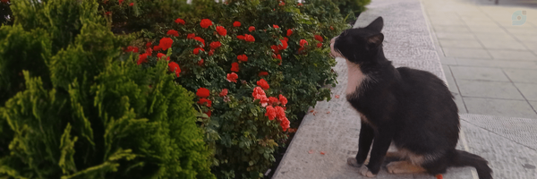 ‌خرمشهر...🇮🇷‌'s header picture