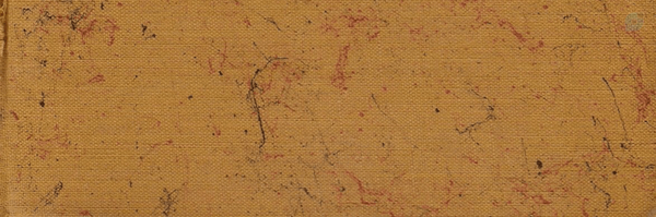 ‌نور -‌'s header picture