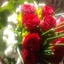 Profile picture of ‌عموفهیم‌