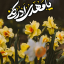 Profile picture of ‌یادگار‌