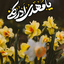 Profile picture of ‌یادگار‌