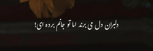 ‌مملی 🍃‌'s header picture