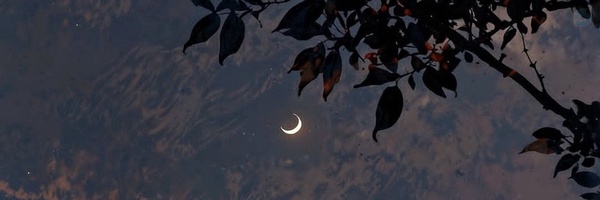 ‌JΛVΛD 🌑‌'s header picture