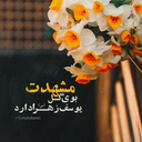 Profile picture of ‌عبد‌