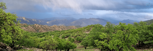 ‌محدثه رحمتی‌'s header picture