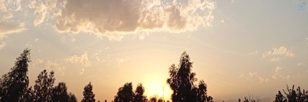 ‌•"R"e"z"a•" :)!‌'s header picture