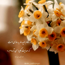 Profile picture of ‌🪽 ملکا‌