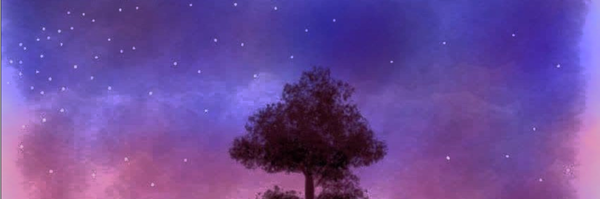 ‌Yasin Sman‌'s header picture