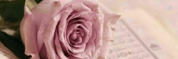 ‌زهرا مجاهد‌'s header picture