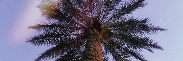 ‌نوشین نبوی (دنا)‌'s header picture