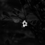 lone