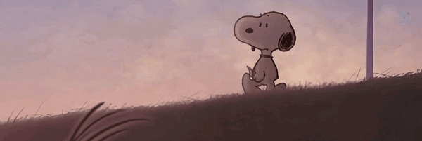 ‌˚₊· ͟͟͞͞➳❥𝓐𝔃𝓲𝓷𝓰𝓸𝓵✧‌'s header picture
