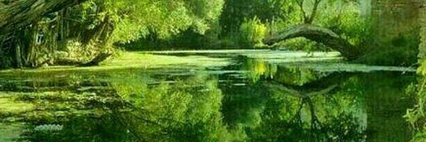 ‌سیب سرخ‌'s header picture