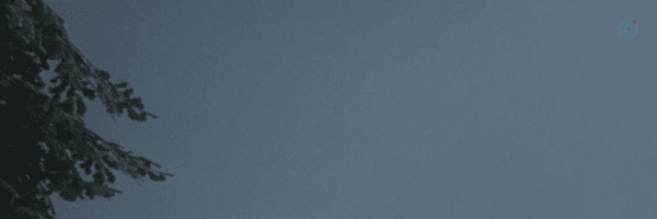 ‌Frank‌'s header picture
