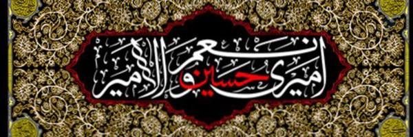 ‌تینا چهارسوقی‌امین‌'s header picture