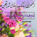 Profile picture of ‌دختر ایران‌