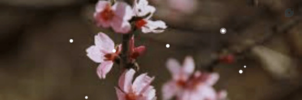 ‌زهرا فرخی نژاد‌'s header picture