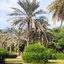 Profile picture of ‌محسن د.د‌