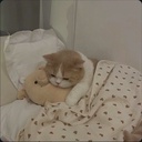 Profile picture of ‌آقای قاضی‌