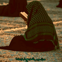 Profile picture of ‌سلاله الزهرا‌