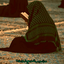 Profile picture of ‌سلاله الزهرا‌