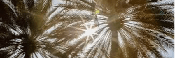 ‌Shaylin‌'s header picture