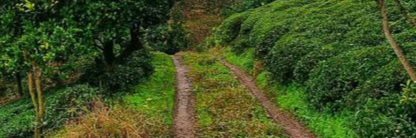 ‌سبحان برکتی 🎒‌'s header picture