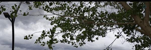 ‌ya_za_ra_27‌'s header picture