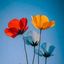 [Ahange You Think The Devil] ~[SevilMusic