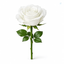 Profile picture of ‌مونا  1368   MONA‌