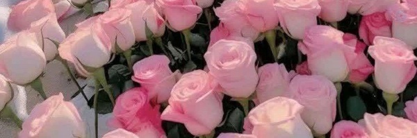 ‌اکرم خیزاب‌'s header picture