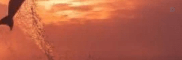 ‌هدی اچ‌'s header picture