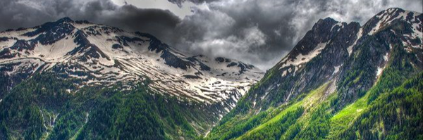 ‌دکتر بیسواد‌'s header picture