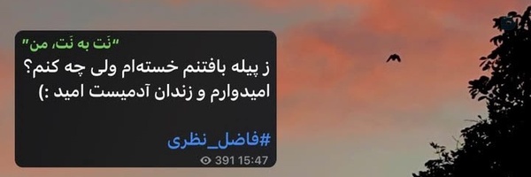 ‌خآنومِ‌سکوت‌'s header picture